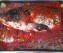 Риба на фурна с доматен сос